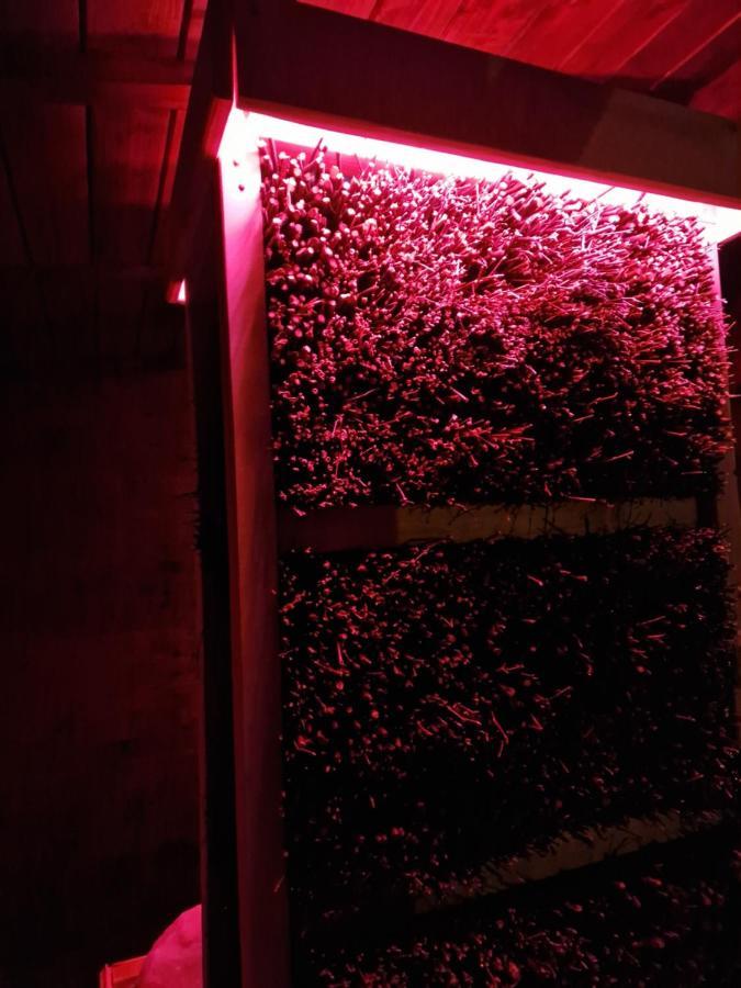 Leilighet Z Teznia Solankowa, Sauna, Kominkiem Led I Sniadaniem Nad Jeziorem Zywieckim Zarzecze (Silesia)