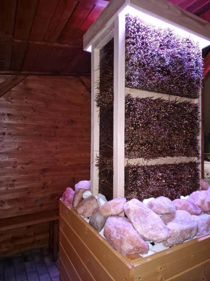 Apartment Z Teznia Solankowa, Sauna, Kominkiem Led I Sniadaniem Nad Jeziorem Zywieckim Zarzecze (Silesia)